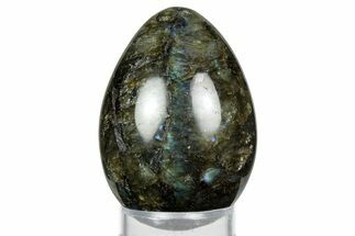 Flashy, Polished Labradorite Egg - Madagascar #344321