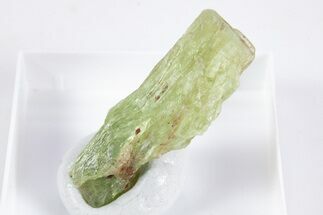 Unusual Green Kyanite Crystal - Tanzania #345721