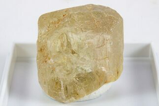 Terminated Yellow Marialite (Scapolite) Crystal - Tanzania #345760