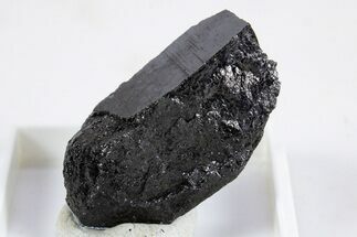 Rare, Raw Chevkinite-(Ce) Specimen - Pakistan #345850