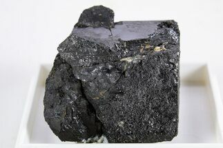 Rare, Raw Chevkinite-(Ce) Specimen - Pakistan #345854