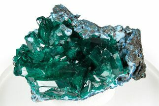 Gemmy Dioptase Crystal Cluster on Plancheite - Sanda, Congo #346105