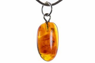 Polished Baltic Amber Pendant (Necklace) - Contains Wasp! #339582
