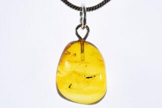 Polished Baltic Amber Pendant (Necklace) - Contains Fly! #339592