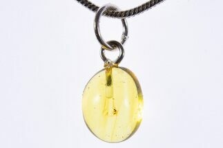 Polished Baltic Amber Pendant (Necklace) - Contains Wasp! #339593