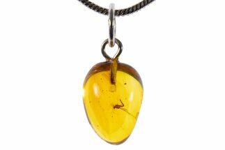 Polished Baltic Amber Pendant (Necklace) - Contains Fly! #339610