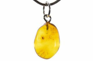 Polished Baltic Amber Pendant (Necklace) - Contains Spider! #339618