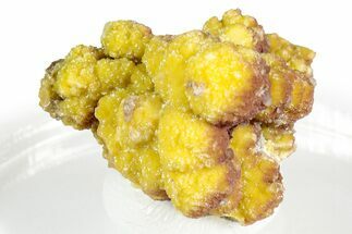 Sparkling Yellow Mimetite Crystal Cluster - Congo #346170