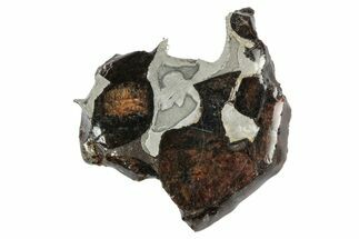 Sericho Pallasite Meteorite ( g) Slice - Kenya #346430