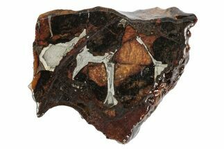 Sericho Pallasite Meteorite ( g) Slice - Kenya #346432