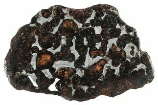 Sericho Pallasite Meteorite ( g) Slice - Kenya #346475
