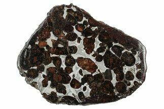 Sericho Pallasite Meteorite ( g) Slice - Kenya #346480