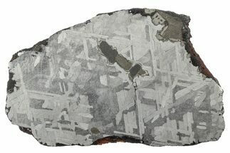 Etched Toluca Iron Meteorite ( g) Slice - Mexico #346511