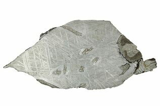 Saint-Aubin Meteorites For Sale