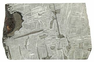 Etched Saint-Aubin Iron Meteorite Slice ( g) - France #346527