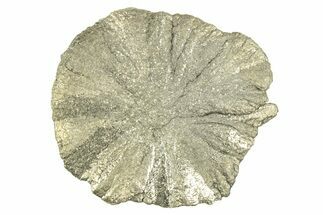Radiant Pyrite Sun - Sparta, Illinois #342583