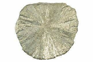Radiant Pyrite Sun - Sparta, Illinois #342594