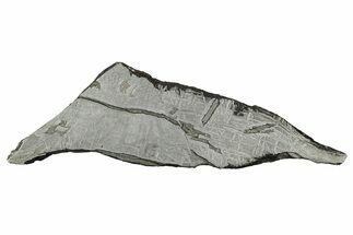 Etched Saint-Aubin Iron Meteorite Slice ( g) - France #346544