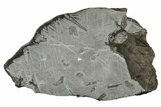 Etched Saint-Aubin Iron Meteorite Slice ( g) - France #346549