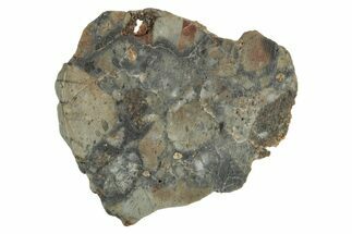 Lunar Meteorite Slice ( g) - NWA #346553