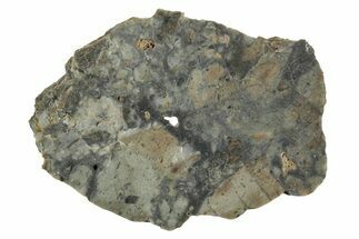 Lunar Meteorite Slice ( g) - NWA #346561