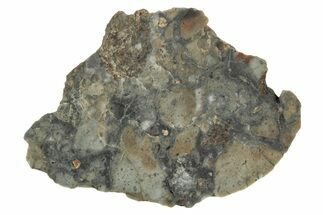 Lunar Meteorite Slice ( g) - NWA #346563