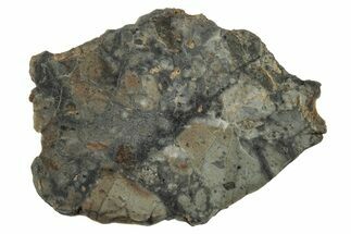 Lunar Meteorite Slice ( g) - NWA #346565
