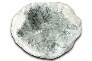 Lustrous Celestine (Celestite) Geode Section - Sharp Crystals! #346960