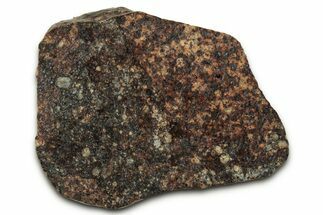 Chondrite Meteorite Section ( g) - NWA #347082