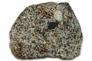 Chondrite Meteorite Section ( g) - NWA #347083
