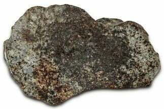 Chondrite Meteorite Section ( g) - NWA #347092