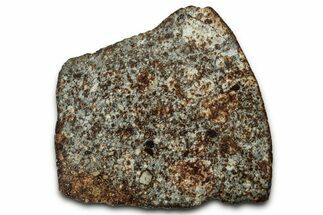 Chondrite Meteorite Section ( g) - NWA #347093