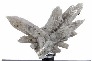 Star Cluster Topaz - Utah #347104