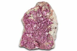 Sparkling Cobaltoan Dolomite Crystals w/ Malachite - DR Congo #347458