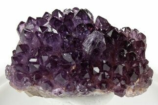 Dark Purple Amethyst Cluster - Alacam Mine, Turkey #347629