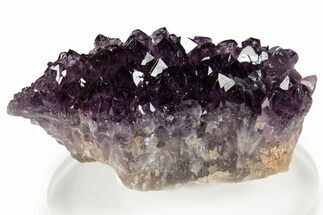 Dark Purple Amethyst Cluster - Alacam Mine, Turkey #347636