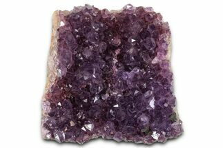Dark Purple Amethyst Cluster - Alacam Mine, Turkey #347596