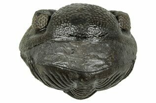 Recently Added For Sale