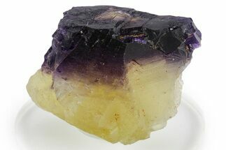 Yellow & Purple Bicolor Fluorite Crystal - Cave-in-Rock, Illinois #347816