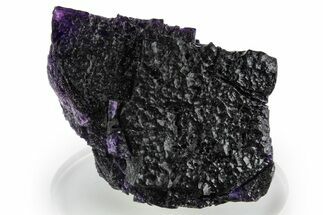 Dark Purple Fluorite Crystal Cluster - Cave-in-Rock, Illinois #347818