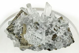 Clear Quartz Crystals on Cubic Pyrite - Peru #347640
