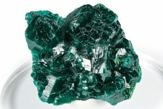 Sparkly Emerald-Green Dioptase Crystal Cluster - Congo #347864