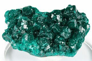 Sparkly Emerald-Green Dioptase Crystal Cluster - Congo #347875