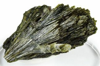 Lustrous Green Epidote Crystal Sprays with Axinite - Peru #347883
