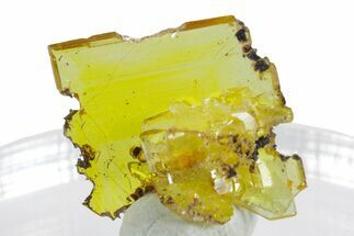 Glassy Yellow-Orange Wulfenite Crystal Cluster - Mexico #347977