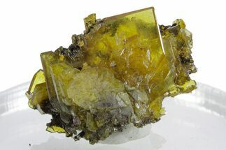 Glassy Yellow-Orange Wulfenite Crystal Cluster - Mexico #347981