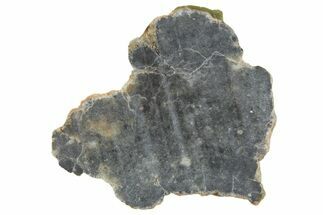 Lunar Meteorite ( g) Slice - Bechar #348182