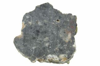 Lunar Meteorite ( g) Section - Bechar #348195