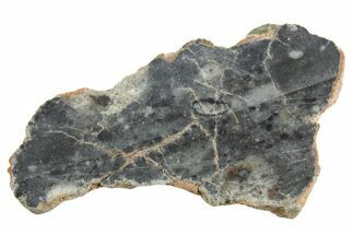 Lunar Meteorite ( g) Section - Bechar #348200