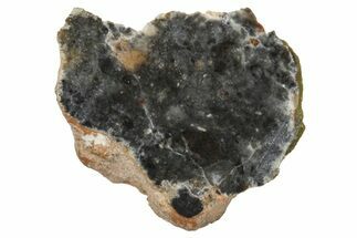 Lunar Meteorite ( g) Section - Bechar #348203